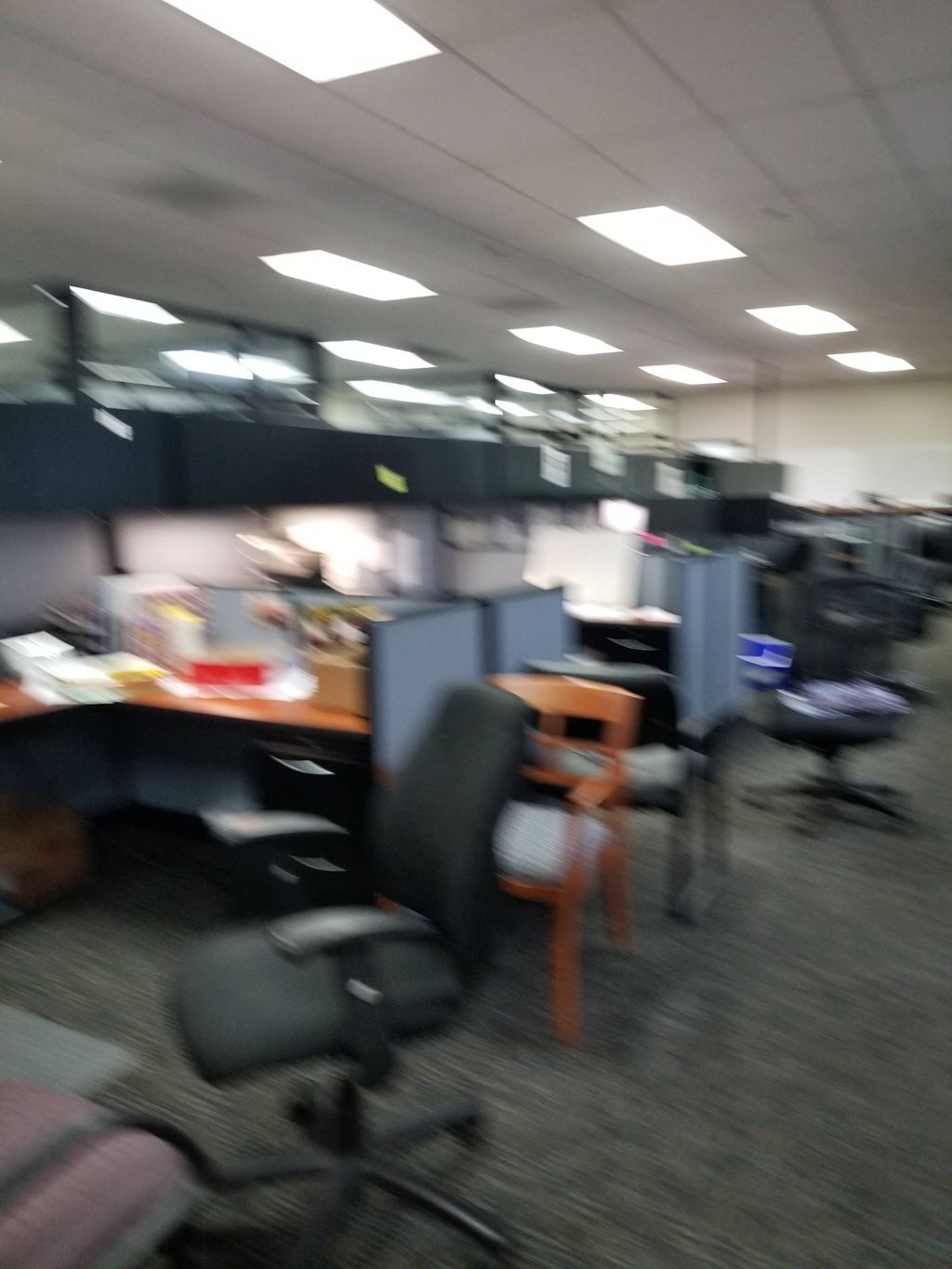 commercial cleaning 