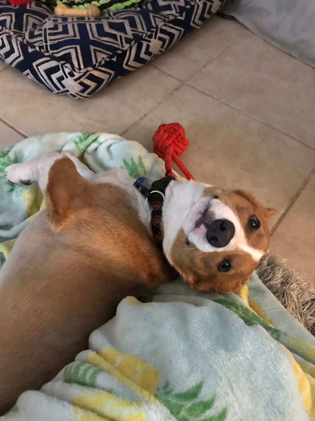 Handsome boy 