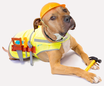 Avatar for Lifetime Roofing and Renovation