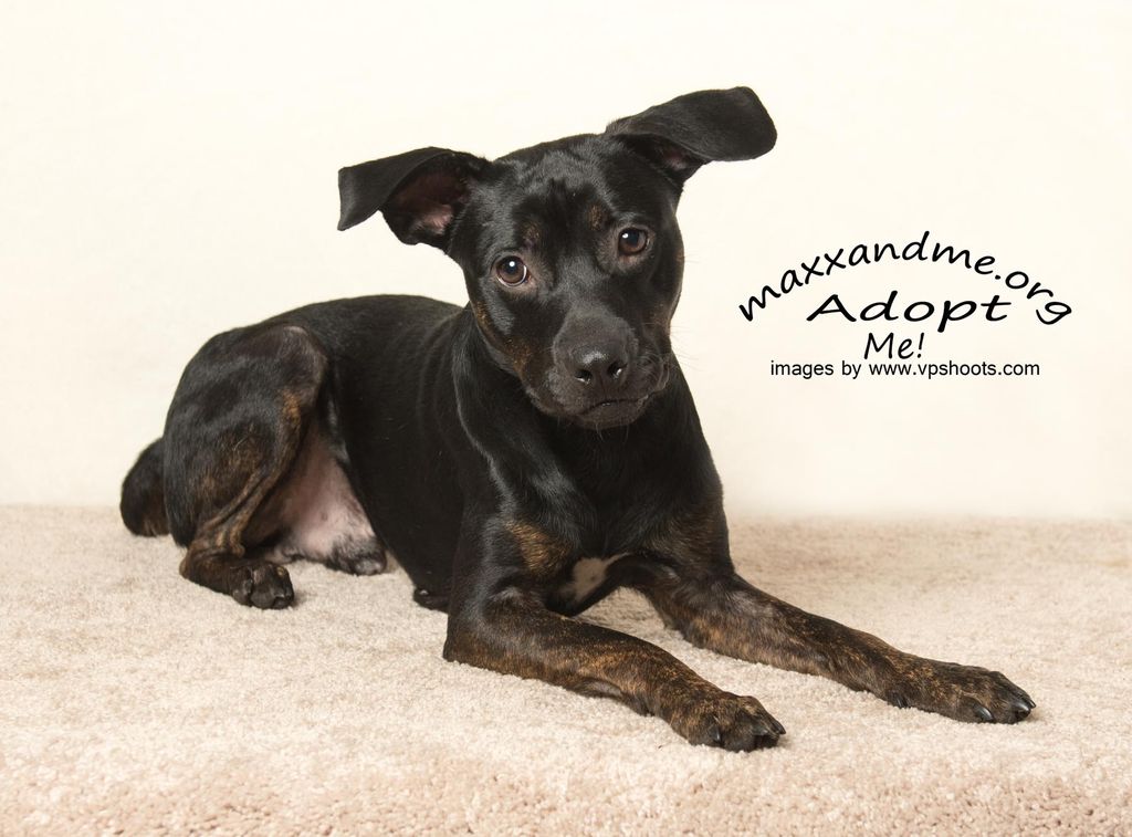Spencer laying down in our portable studio setup.