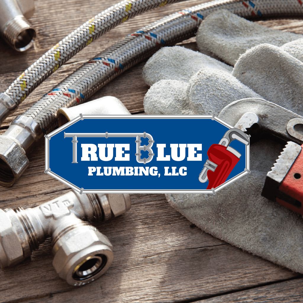 True Blue Plumbing LLC