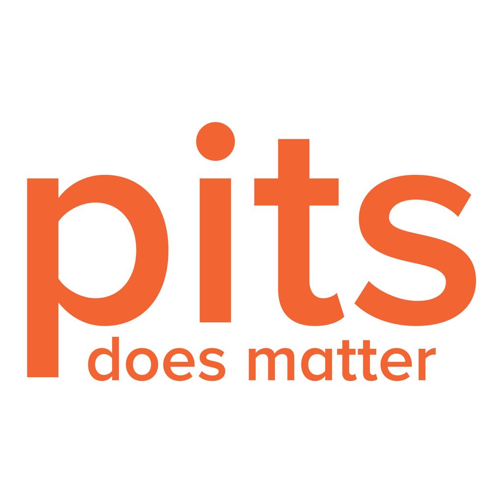 PITS Global Data Recovery Services