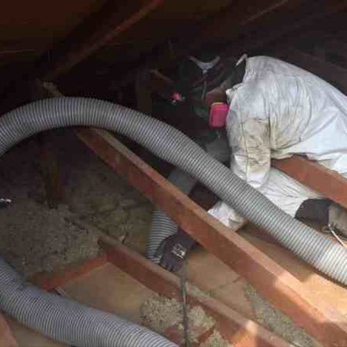 Cleaning out rat infested attic insulation.