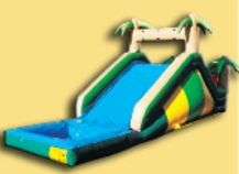 tropical slide