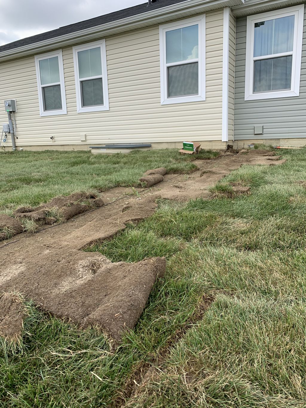 Dog Fence Installation