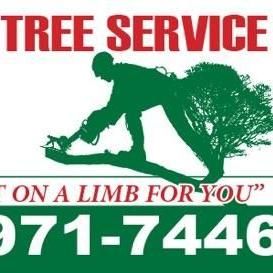 Power Tree Service