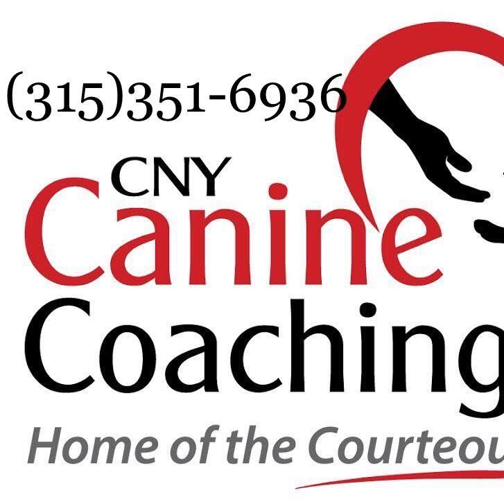 CNY Canine Coaching Karen Serianni, CPDT-KA