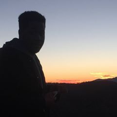 pro avatar