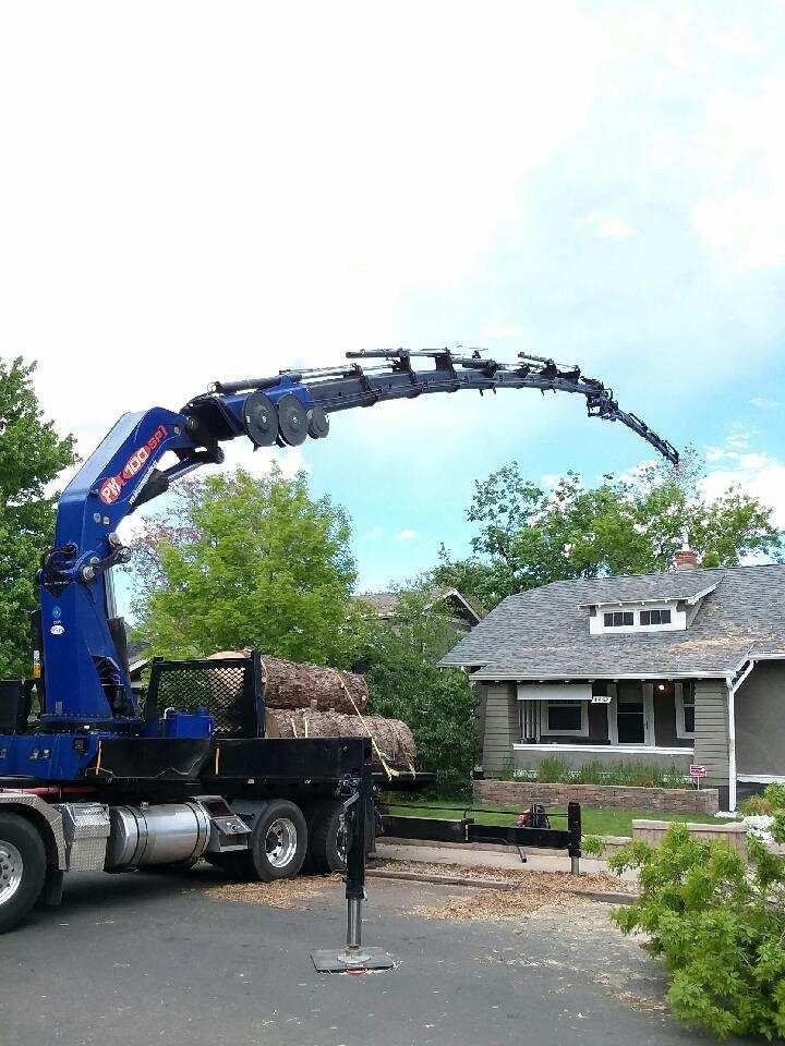 Tree Trimming and Removal