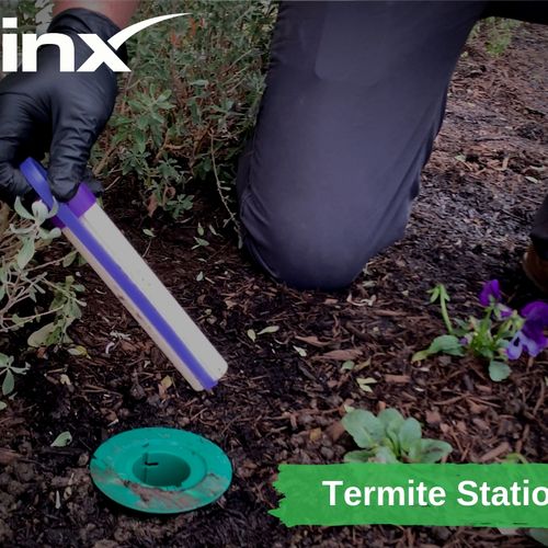 Preventive Termite Stations