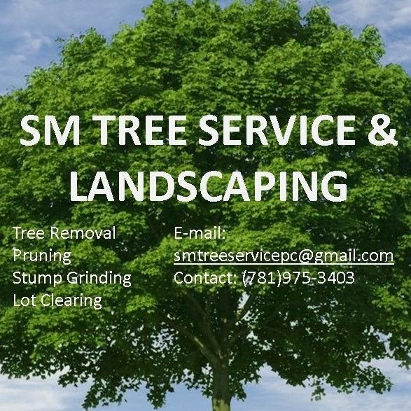 S&M Tree service