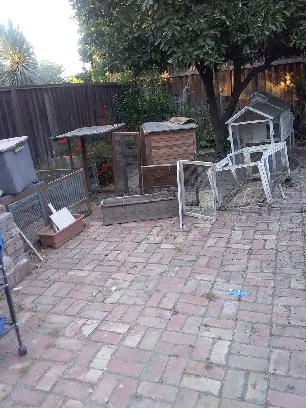Customer photos