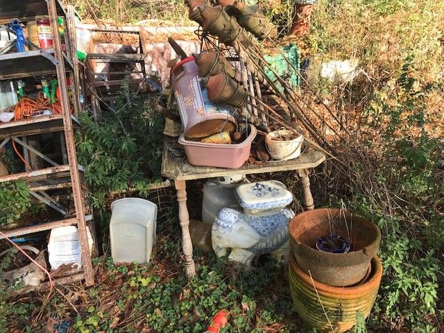 Cleaned up an entire back yard were a building had