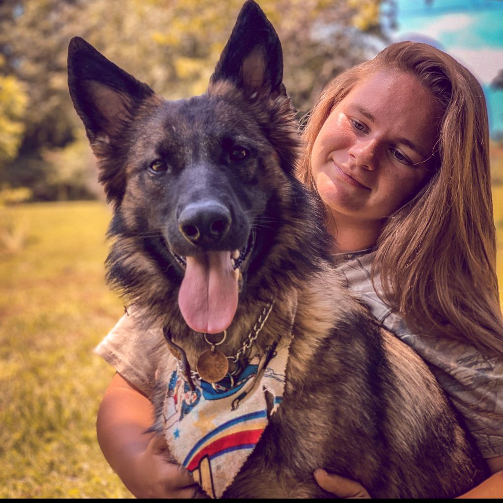 The Virginia School for Dogs