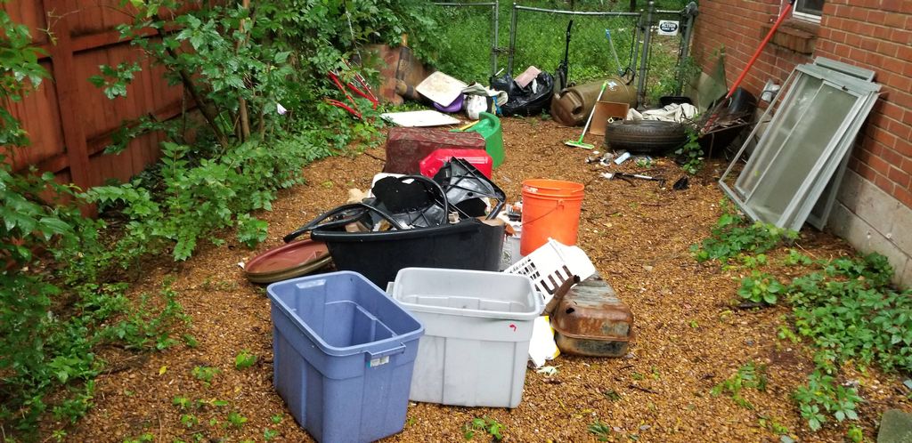 Before (side yard)