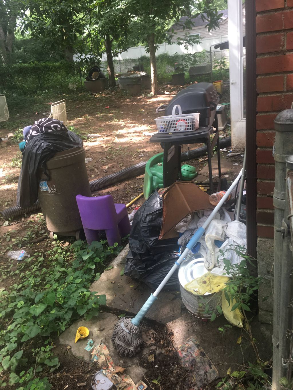 Before (back yard)