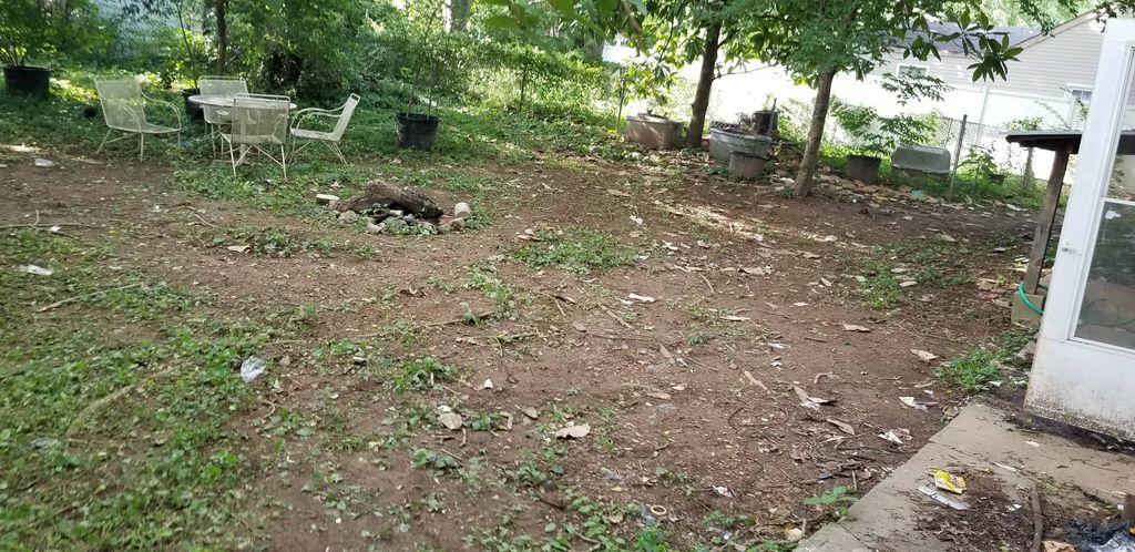 After (back yard)