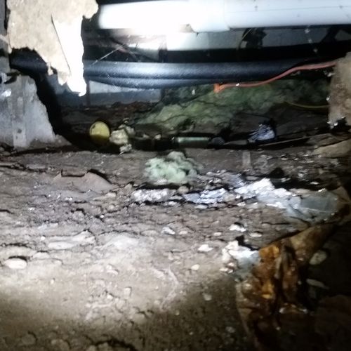 crawl space which due to moisture has caused insul