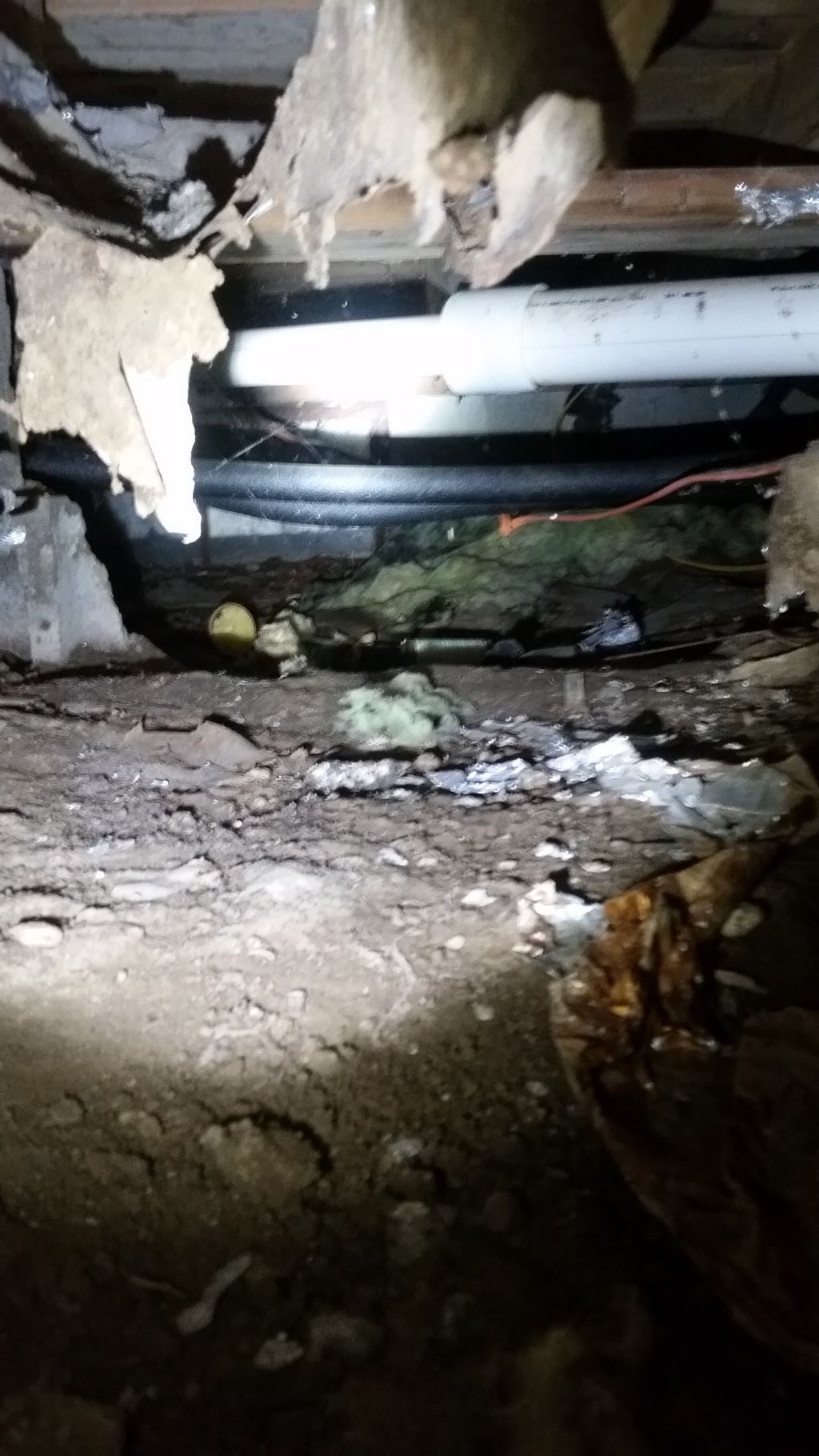 crawl space which due to moisture has caused insul