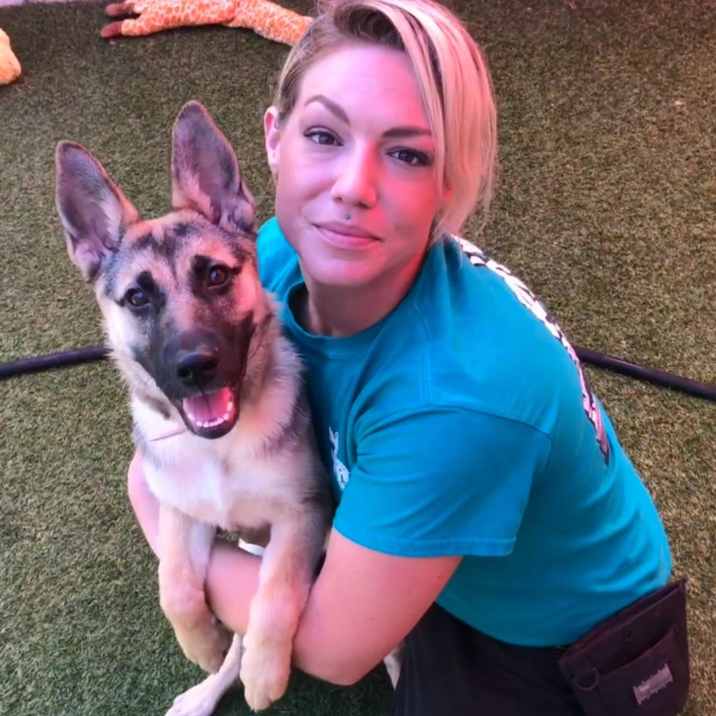 Barking Bad Training