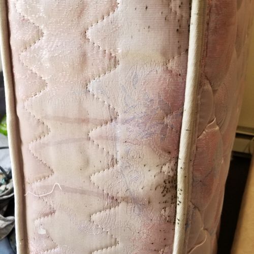 This is what a bedbug infested mattress looks like
