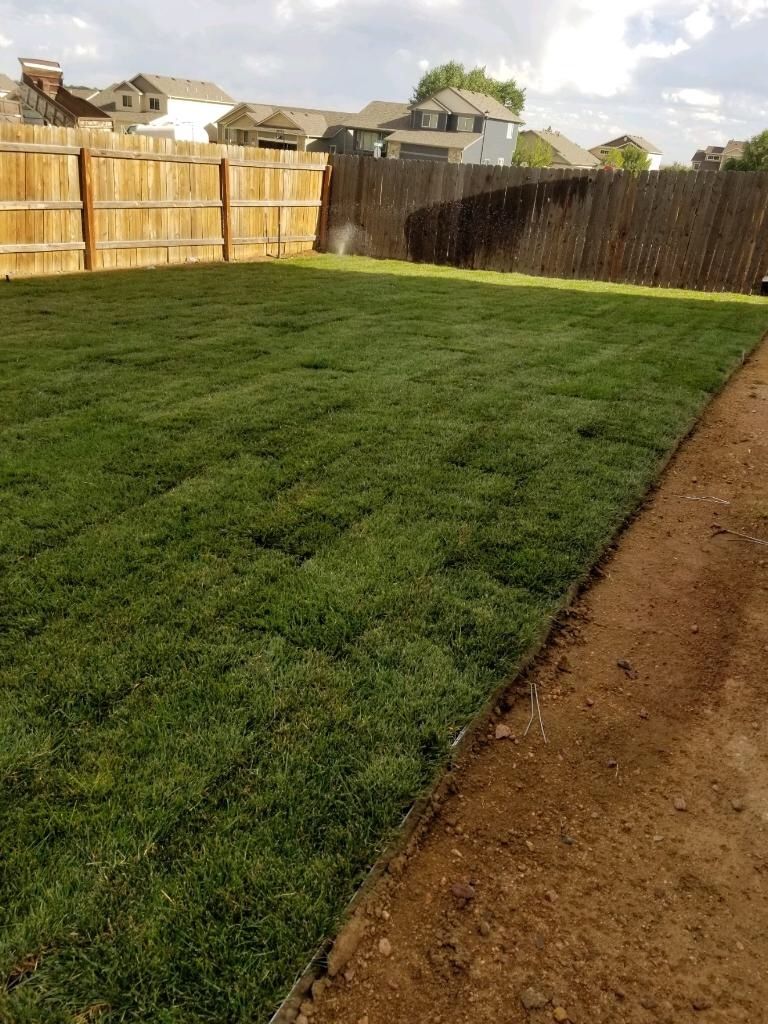 Customer photos