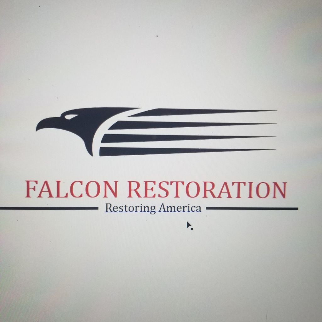 Falcon restoration