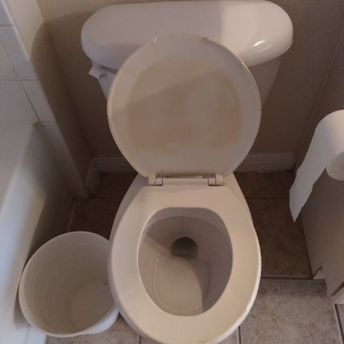 Toilet -after