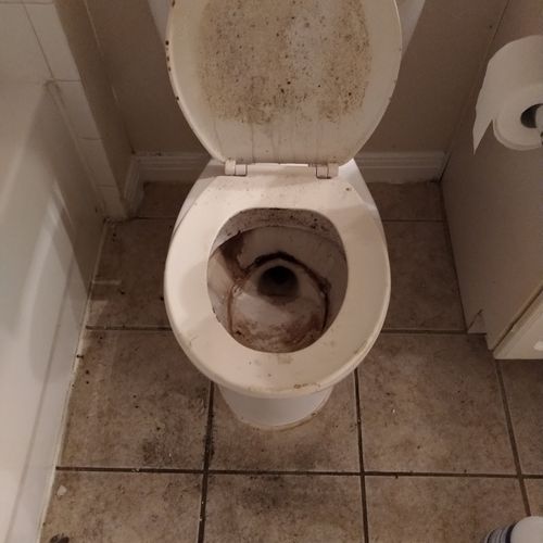 Toilet -before