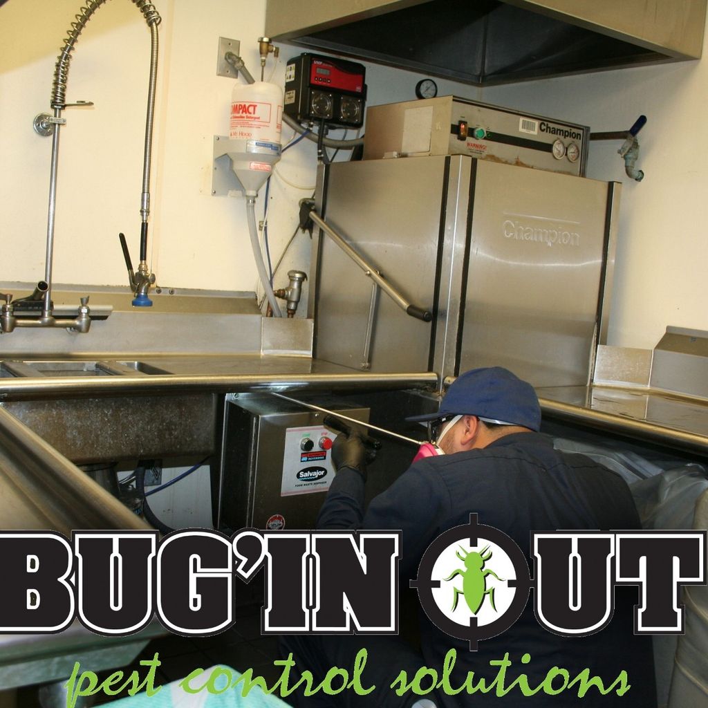 Bug'iN Out Pest Control Solutions