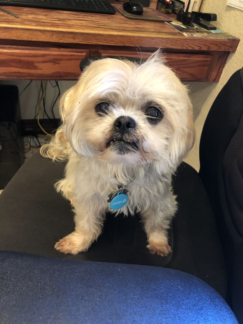 Mr. B was ready to pitch in with a long day of ema