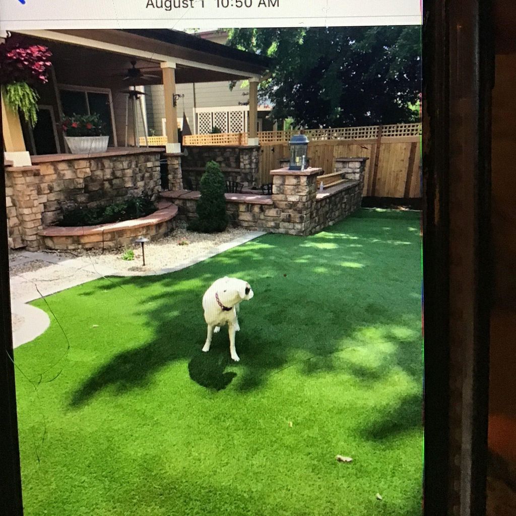 Preferred sprinklers