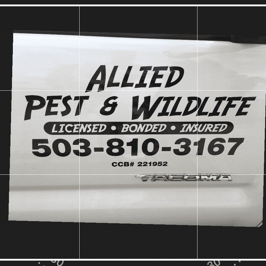Allied Pest & Wildlife llc