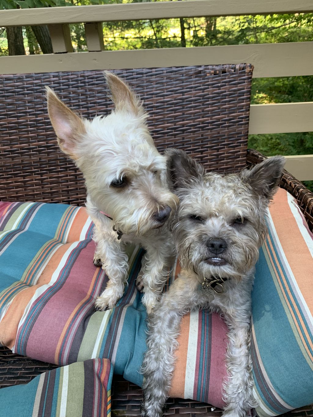 The Twins - Little Bitty Winnie and Big Brother Ot