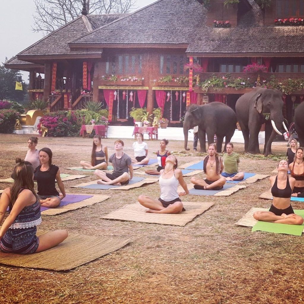 Elephant Sanctuary, Thailand