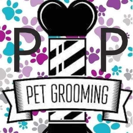 Pawsitively Purrfect Grooming