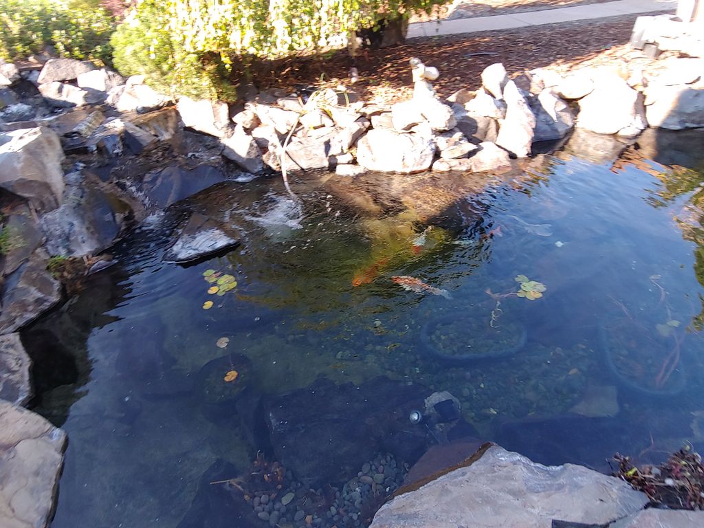 Water Feature Repair and Maintenance