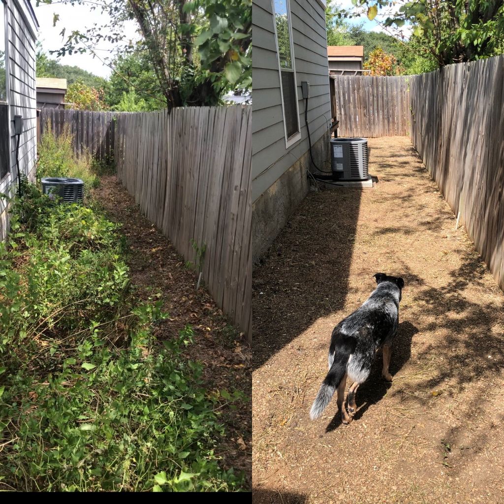 I just moved into a new space where the side yard 