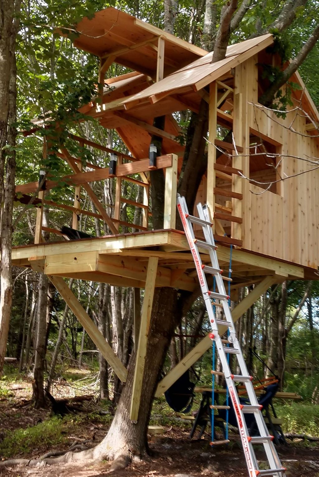 One leach field.. one treehouse (the kids were too