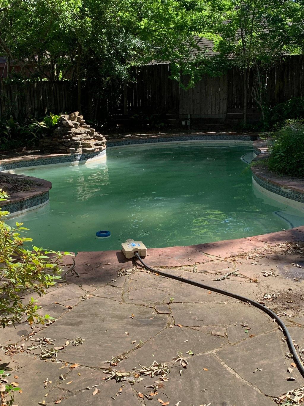 Green pool (before)