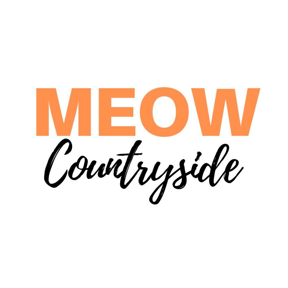 Meow Countryside Cat Sitting Service