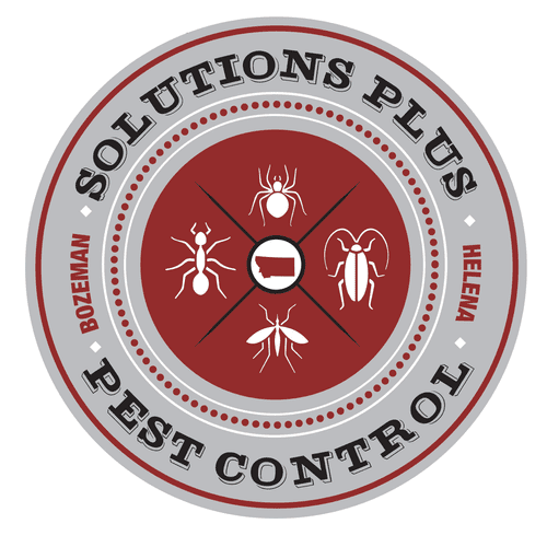 Solutions Plus Pest Control handles all of your re