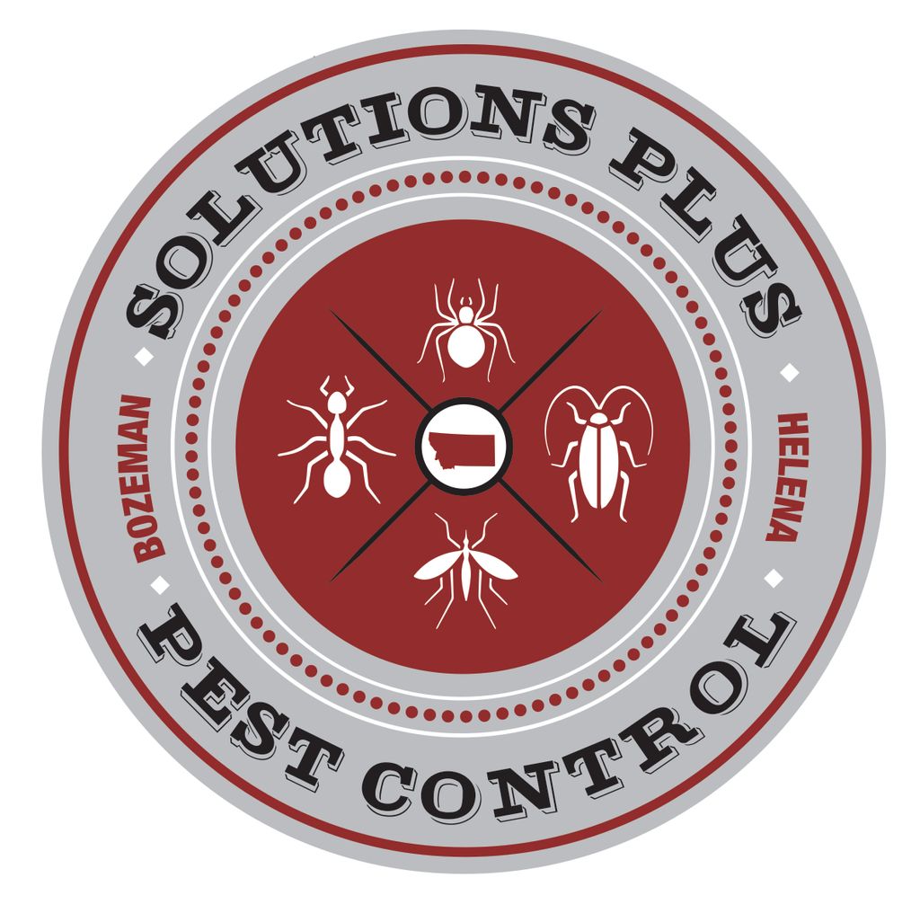 Solutions Plus Pest Control handles all of your re