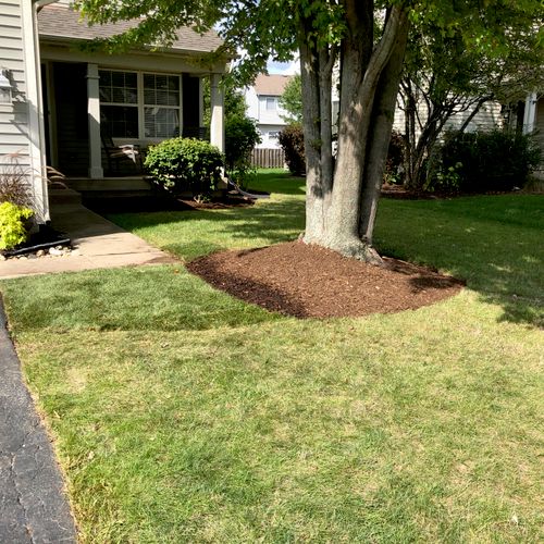 A.B. Lawn Service was outstanding from beginning t