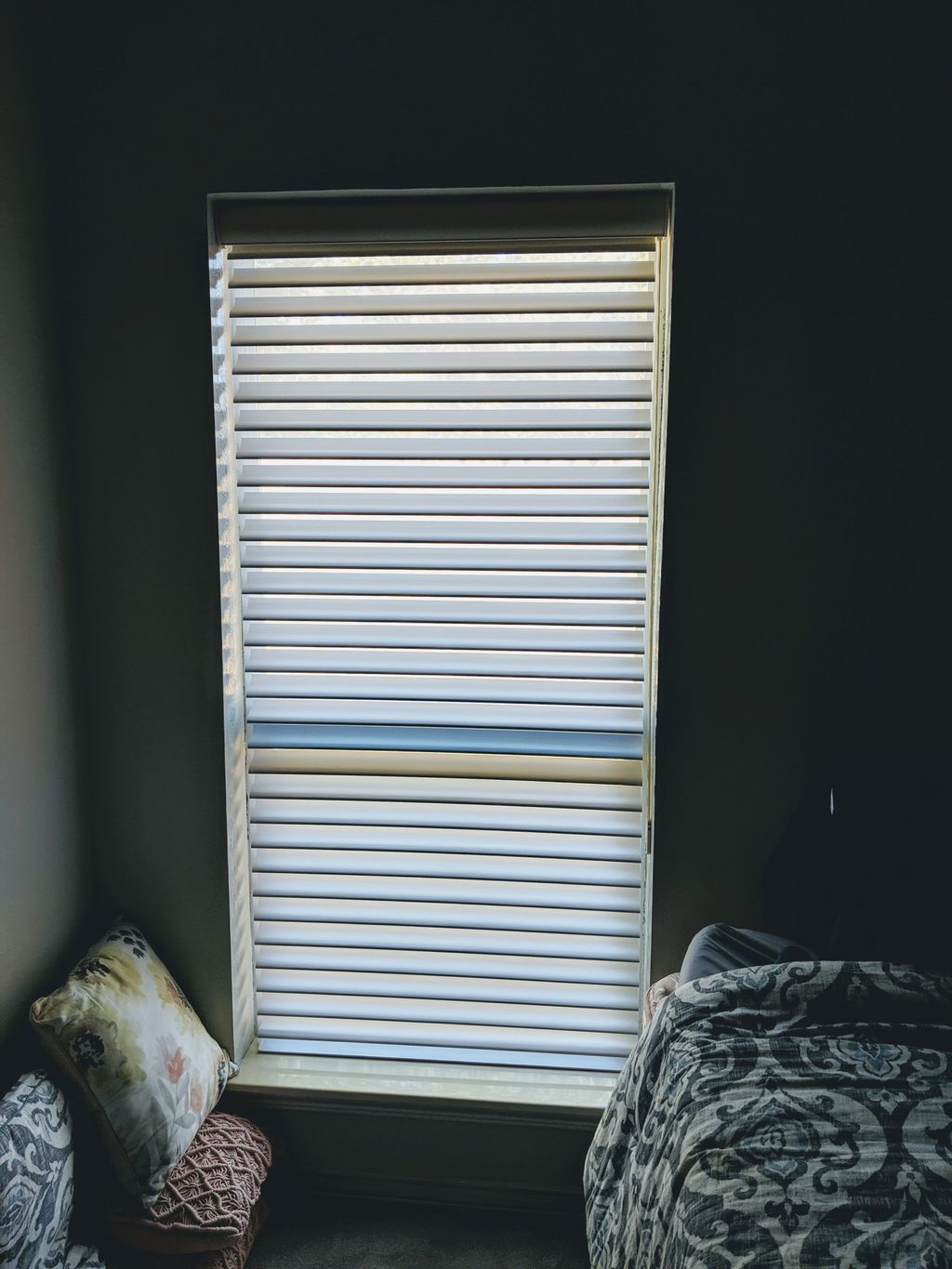 Sheer shadings in Mustang, OK 