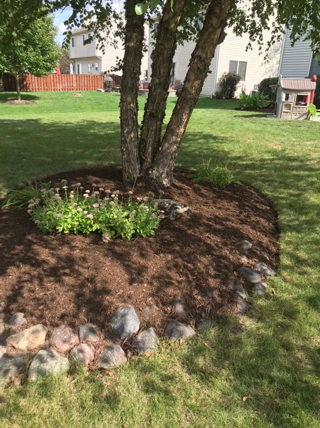 Edged and applied mulch
