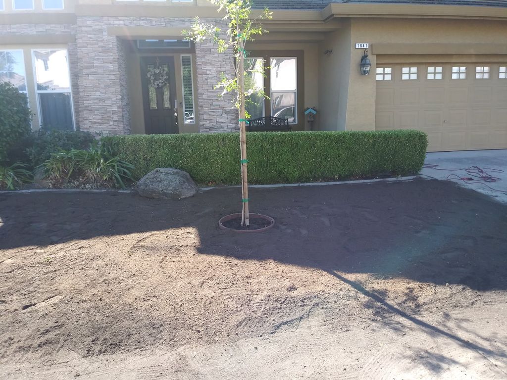 Sod Installation