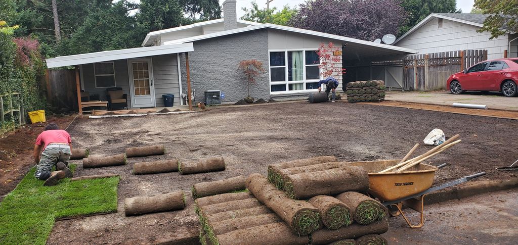 Sod Installation