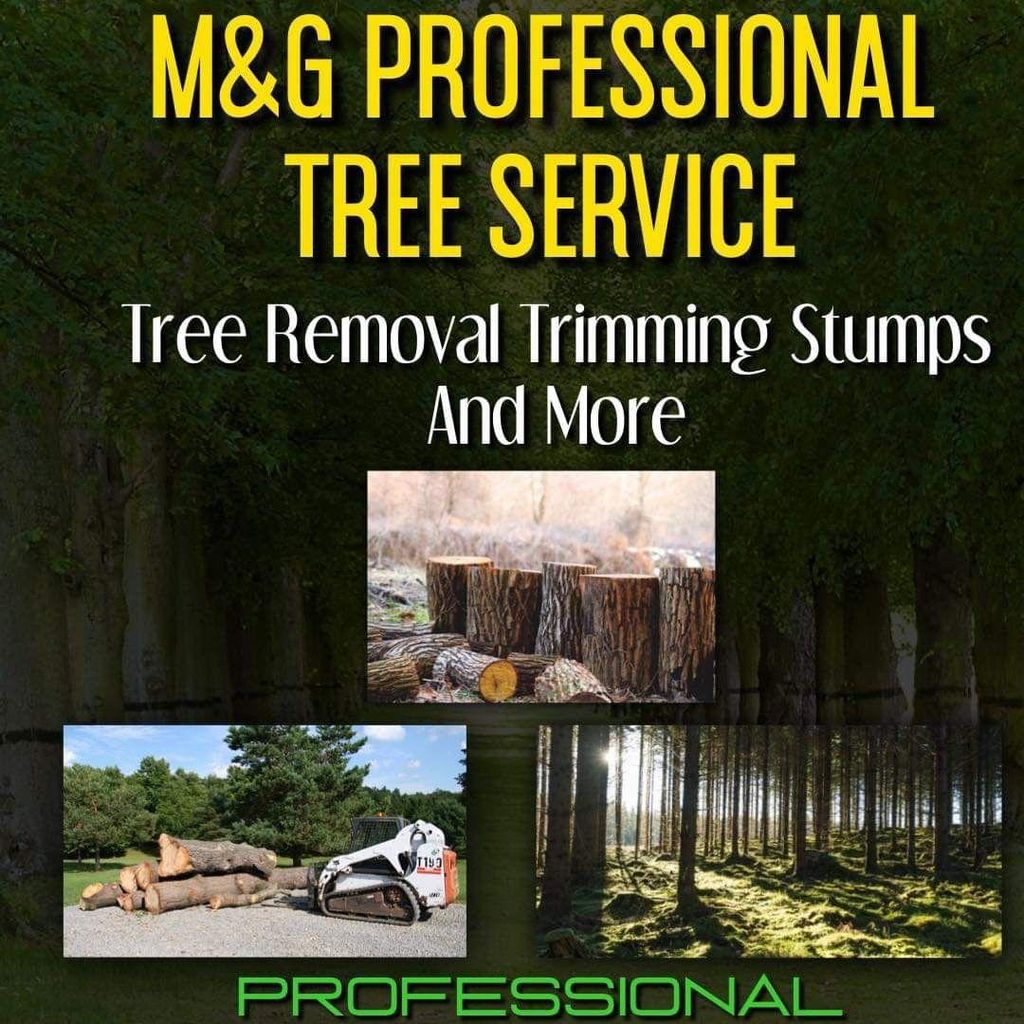 M&G Trees Services and Lawn Care