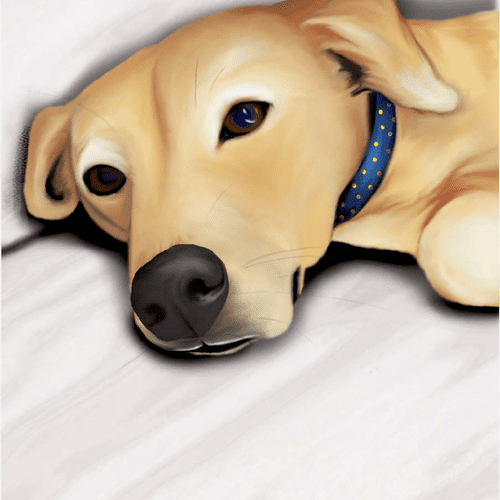 "Aang": Local celebrity pup, digital pastel